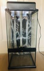 Exo Terra paludarium/terrarium 30  30  60, Dieren en Toebehoren, Reptielen en Amfibieën | Toebehoren, Ophalen, Zo goed als nieuw