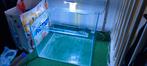 Aquarium Glasbak 50*35*37 Ledlamp € 30,00, Dieren en Toebehoren, Vissen | Aquaria en Toebehoren, Ophalen of Verzenden, Zo goed als nieuw