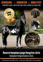 Luwke BP99 - Reserve kampioen 2024, Dieren en Toebehoren, Paarden en Pony's | Dekhengsten en Fokmerries, Hengst
