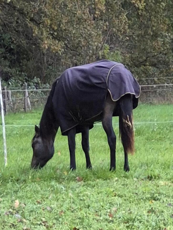 Bucas Irish Turnout 50 gram maat 5.0, Dieren en Toebehoren, Paarden en Pony's | Dekens en Dekjes, Ophalen of Verzenden