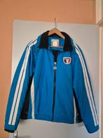 Winterjas maat 40, Kleding | Dames, Jassen | Winter, Maat 38/40 (M), Blauw, Falcon, Ophalen of Verzenden