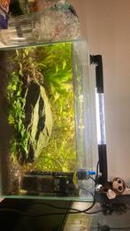 Super mooi aquascape aquarium, Dieren en Toebehoren, Ophalen of Verzenden, Zo goed als nieuw