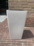 Lechuza plantenbak bloempot, Ophalen, Steen, Minder dan 60 cm, Rond