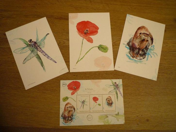 groene glazenmaker libelle klaproos otter Groningen Michelle, Verzamelen, Ansichtkaarten | Dieren, Voor 1920, Vogel, Ophalen of Verzenden