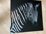 Zebra glasschilderij, Huis en Inrichting, Woonaccessoires | Schilderijen, Tekeningen en Foto's, Ophalen of Verzenden, Zo goed als nieuw
