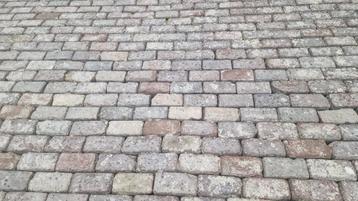 Oudhollandse met de handgebakken klinker 10 duimer roodpaars beschikbaar voor biedingen