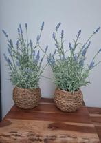 Set van 2 stuks lavendel, Ophalen, Kunststof, Rond, Zo goed als nieuw