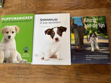3 puppy boeken puppy opvoed boeken oa Puppymanieren  beschikbaar voor biedingen
