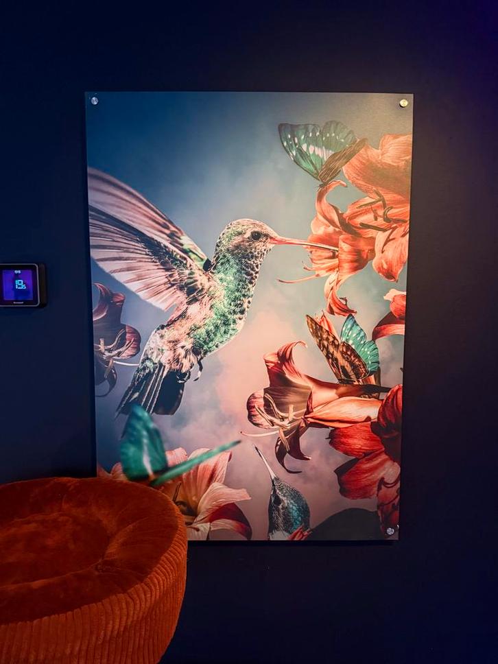 Kleurrijk Dibond Wandbord - Mockingbird, Huis en Inrichting, Woonaccessoires | Schilderijen, Tekeningen en Foto's, Nieuw, Print