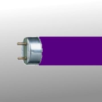 TL Lampen beschikbaar voor biedingen