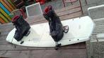 Ronix one proboard wakeboard met ronix bindingen, Ophalen, Gebruikt, Board en Schoenen