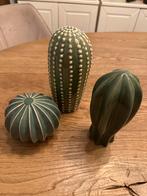 Ikea Sjasligt Cactus Decoratie, Ophalen