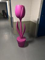 Tulip ( tulp ) lamp, Ophalen, Zo goed als nieuw