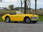 Austin Healey 100 6 - Bid via SAVETHECLASSIXCOM (bj 1957), Auto's, Oldtimers, Austin, Overige kleuren, Cabriolet, Origineel Nederlands
