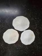 Nog enkele zanddollers te koop, ook met gaatjes, Ophalen of Verzenden