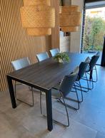 Bert Plantagie design tafel Pedro met keramiek blad, Huis en Inrichting, Tafels | Eettafels, Ophalen, 200 cm of meer, 50 tot 100 cm