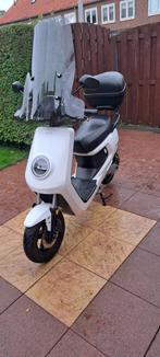 NIU scooter MQi+ / M+, Fietsen en Brommers, Gebruikt, Elektrisch, Ophalen, Overige merken