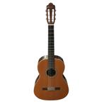 Esteve Klassieke Gitaar Model: 1 4/4 | Nette Staat, Flex Ltd., Gebruikt, https://flex.com/contact-us, Nobelstraat 10, 5807 GA Oostrum LB, Limburg, Nederland