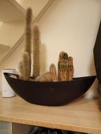 Cactus arrangement in zwarte schaal, Ophalen of Verzenden