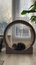 Intratuin krabrad, Ophalen, Zo goed als nieuw