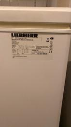 Vrieskist Liebherr, Witgoed en Apparatuur, Vriezers en Diepvrieskisten, Vrieskist, Gebruikt, Energieklasse A of zuiniger, 60 tot 90 cm