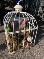 Tuindecoratie met voorjaarsbollen en kip, Ophalen, Zo goed als nieuw, Nvt, Nvt