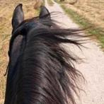 Stalling met goede uitrijmogenlijkheden gezocht