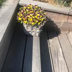 Rieten bloemmanden, Overige materialen, Minder dan 30 cm, Minder dan 60 cm, Rond