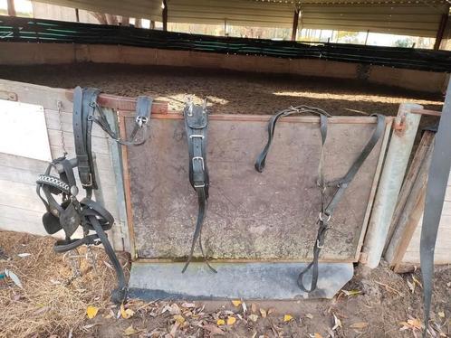 Mentuig full, Dieren en Toebehoren, Paarden en Pony's | Hoofdstellen en Tuigage, Gebruikt, Recreatie, Ophalen of Verzenden