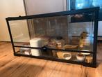 Terraruim hamster, Ophalen, Gebruikt, Terrarium of Paludarium