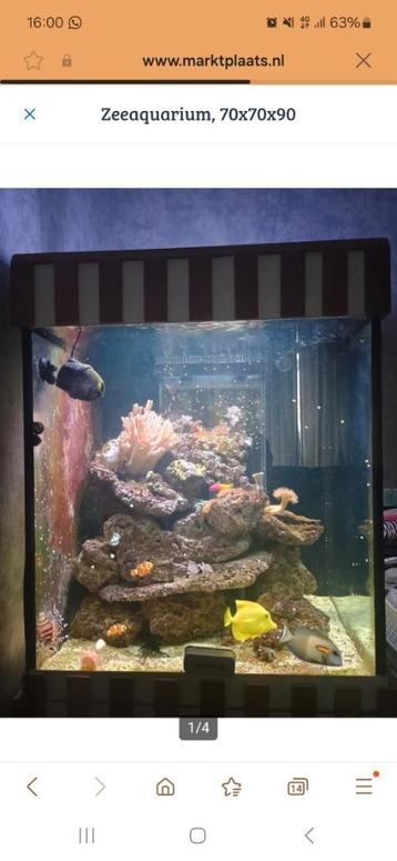 Zeeaquarium 70x70x90,  beschikbaar voor biedingen