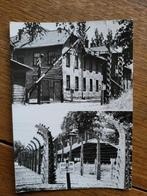 ansicht Auschwitz WO2 Oorlog, Ophalen of Verzenden, Voor 1920, Noord-Brabant
