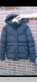 Winterjas, Kinderen en Baby's, Kinderkleding | Maat 176, Ophalen, Meisje, Zo goed als nieuw, Cars jeans
