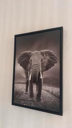 Jungle accessoires kinderkamer, Huis en Inrichting, Woonaccessoires | Schilderijen, Tekeningen en Foto's, Ophalen, Zo goed als nieuw