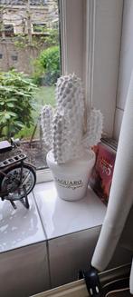 Riviera maison cactus, Huis en Inrichting, Woonaccessoires | Overige, Ophalen, Zo goed als nieuw
