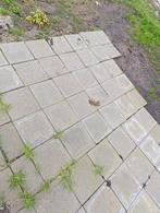 Gratis tuin tegels in warmond, Ophalen of Verzenden, Zo goed als nieuw, Beton, Terrastegels