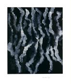 Armando A'dam (1929) Giclee op Papier " De Regen " Ges Gen, Antiek en Kunst, Kunst | Litho's en Zeefdrukken, Ophalen of Verzenden