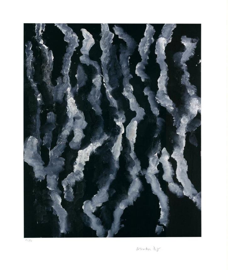 Armando A'dam (1929) Giclee op Papier " De Regen " Ges Gen, Antiek en Kunst, Kunst | Litho's en Zeefdrukken, Ophalen of Verzenden