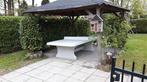 Tafeltennistafel Beton ronde hoeken Naturel Tafeltennisland, Verzenden, Nieuw, Tafel Outdoor, Wedstrijdformaat