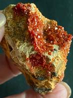 Vanadiniet, Verzamelen, Mineralen en Fossielen, Ophalen of Verzenden