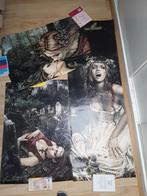 Victoria Frances posters, gratis ophalen, Ophalen, Gebruikt, Deurposter of groter, Overige vormen