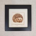 Ets print, Egel. Zwarte lijst 10x10 cm, sepia. Vintage stijl, Ophalen of Verzenden