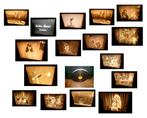 16mm jeugd speelfilm Robin Hood - silent - bruine film -, Tickets en Kaartjes, Eén persoon, Cadeaubon, Overige typen