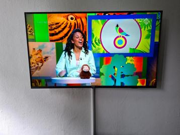 PHILIPS UHD4K smart tv AMBILIGHT beschikbaar voor biedingen