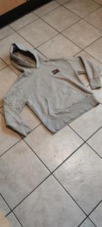 Mooie grijs dik trui van Tommy Hilfiger maat XS, Ophalen of Verzenden, Zo goed als nieuw, Maat 46 (S) of kleiner, Grijs