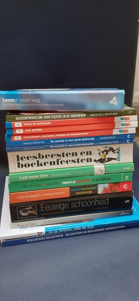 Pabo boeken - Studie boeken - Onderwijs/Opvoeding - Driestar, Boeken, Studieboeken en Cursussen, Zo goed als nieuw, HBO, Gamma