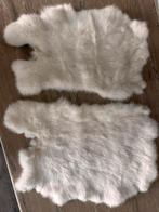 Witte Bont Vacht Kleedjes, Minder dan 50 cm, Wit, Nieuw, Ophalen of Verzenden