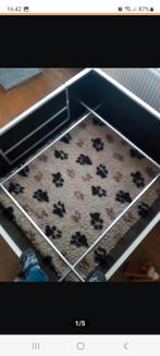 Werpkist kopen of huren middelgrote hond, Dieren en Toebehoren, Ophalen