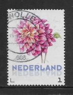 Persoonlijke, JB, Planten, Dahlia (K1833), Ophalen of Verzenden
