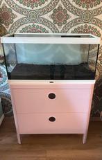 Aquarium 80L verlichting, filter, verwarming, kast, extra’s., Ophalen, Leeg aquarium